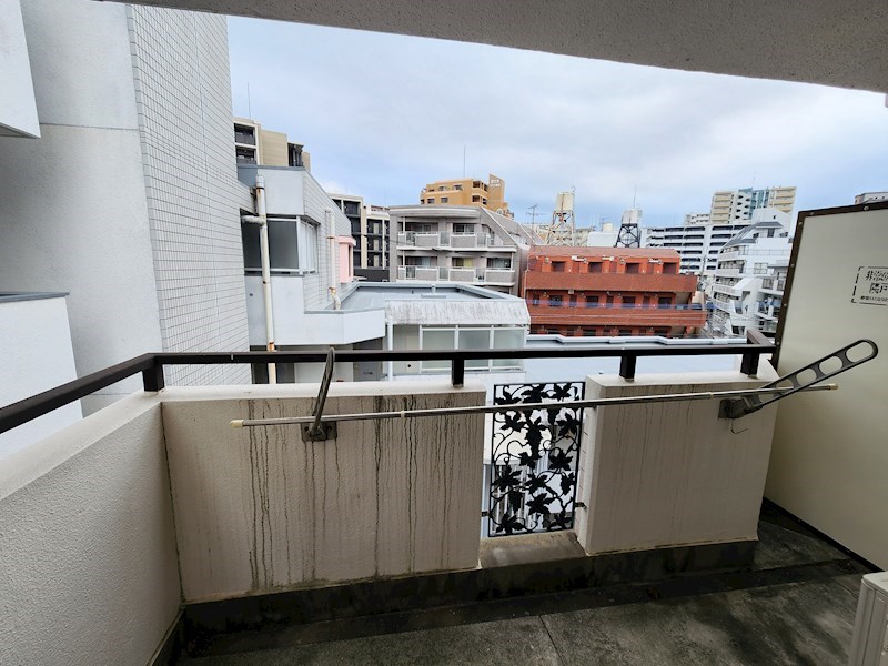 プルメリア大橋 眺望