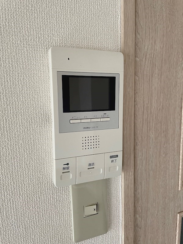 リンピアル大橋 セキュリティ