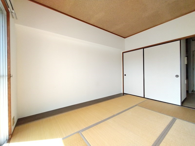 アペインヒロ その他